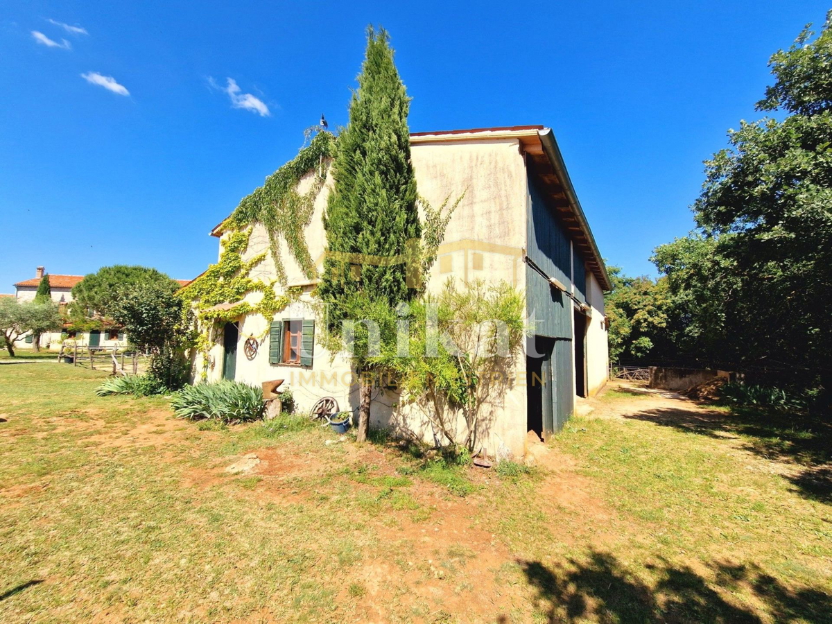 Avtentično posestvo s kamnito hišo in velikim zemljiščem